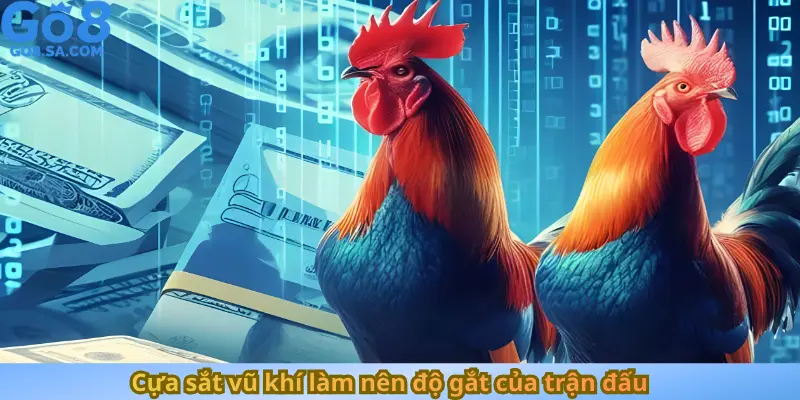 Cựa sắt vũ khí làm nên độ gắt của trận đấu